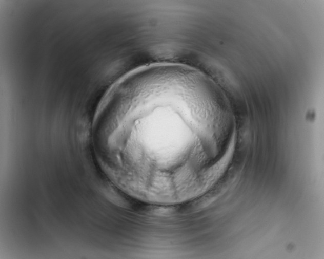 X0000102500081200808221804