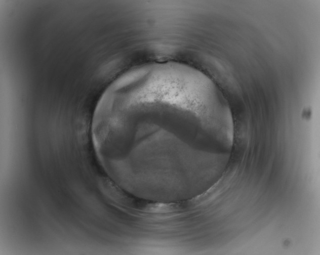 X0000102500082200808221804