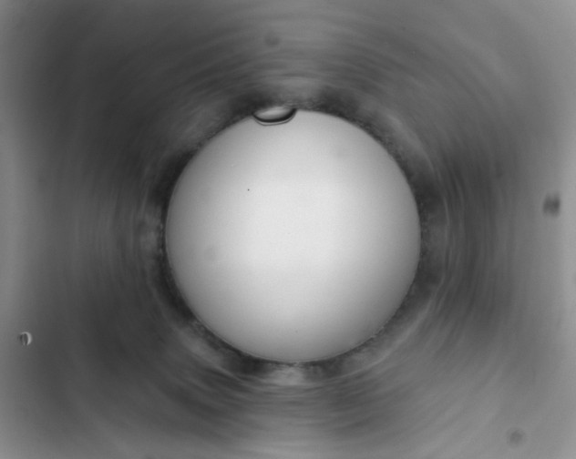 X0000102500083200808221804