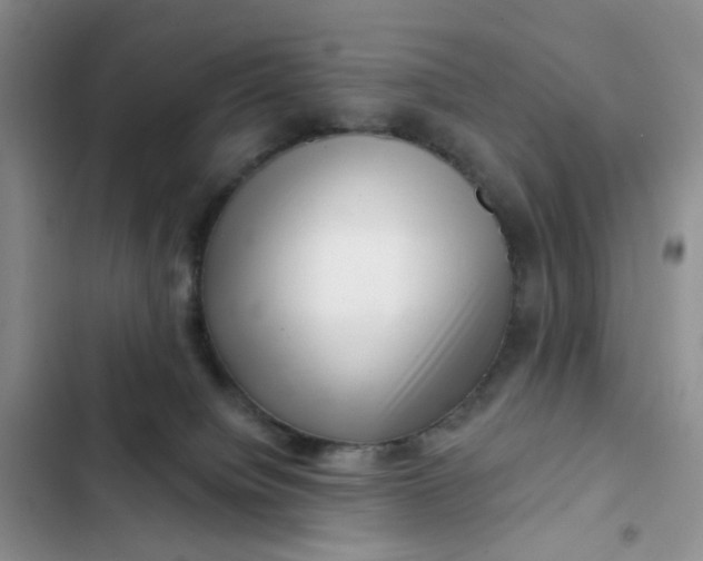 X0000102500084200808221804