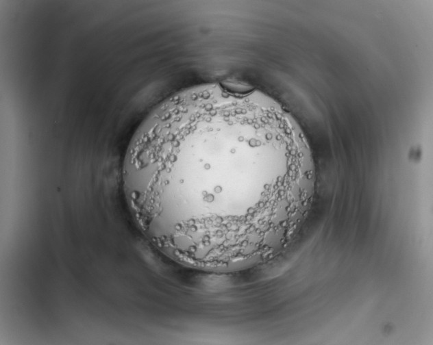 X0000102500085200808221804