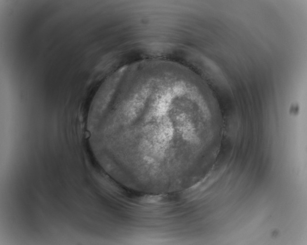 X0000102500086200808221804