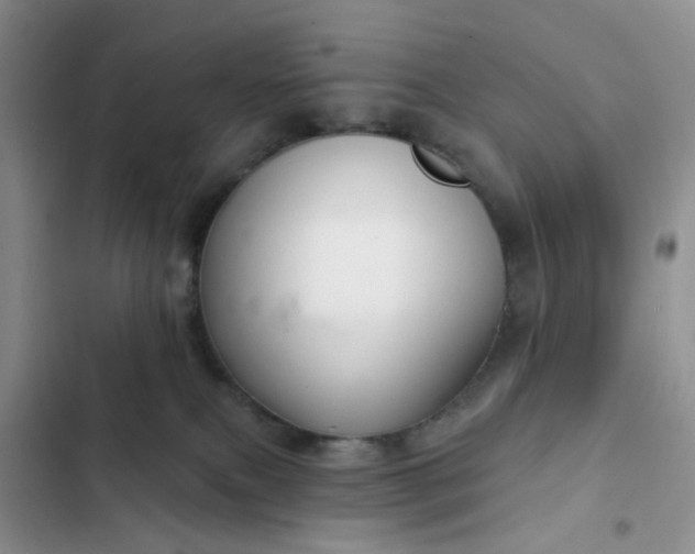 X0000102500087200808221804