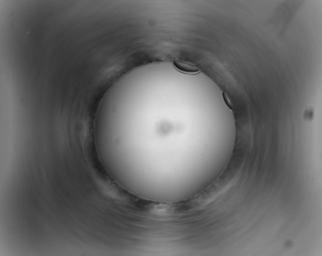 X0000102500088200808221804