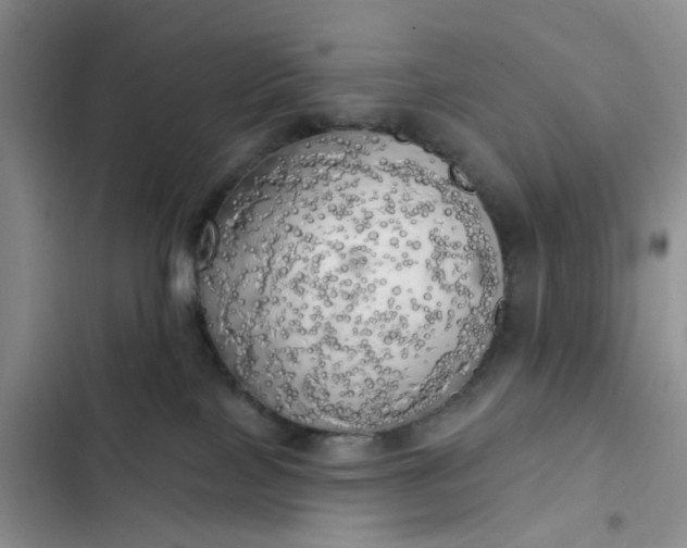 X0000102500089200808221804