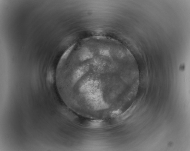 X0000102500090200808221804