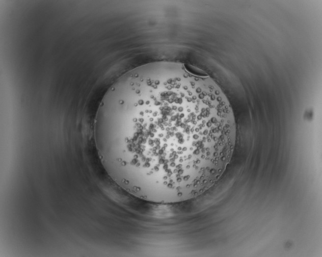 X0000102500091200808221804