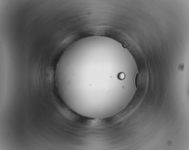 X0000102500092200808221804