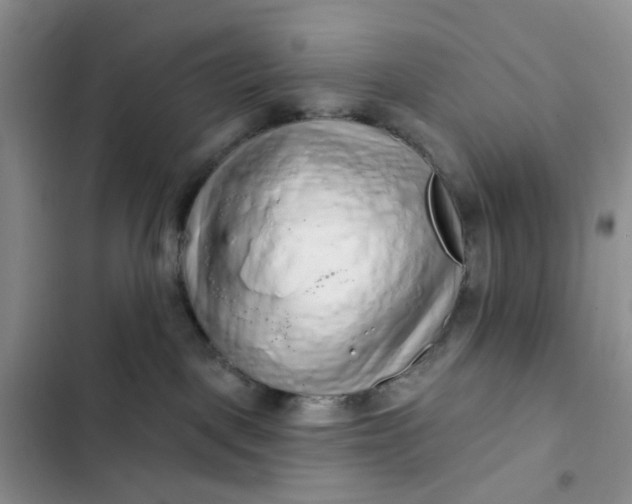 X0000102500093200808221804