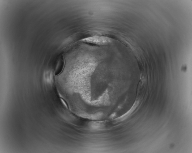 X0000102500094200808221804