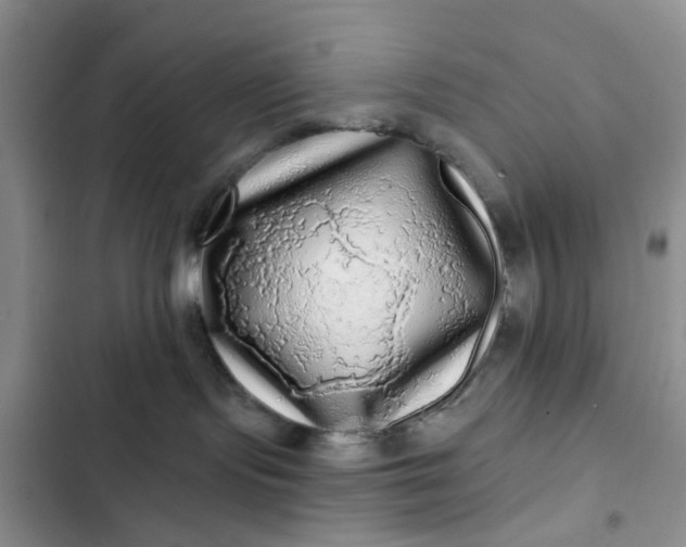 X0000102500095200808221804