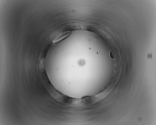 X0000102500096200808221804