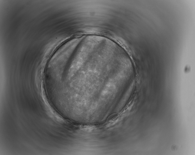 X0000102500097200808221803