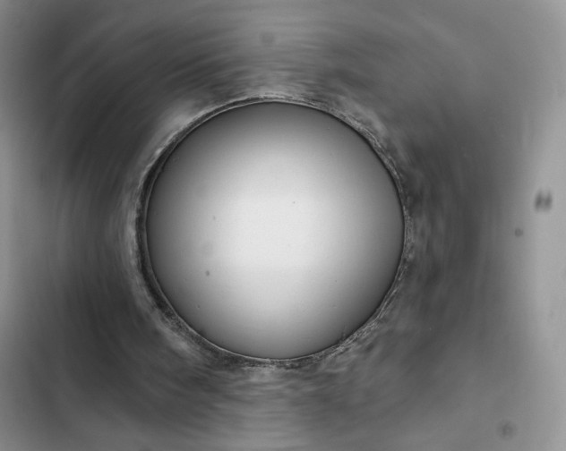 X0000102500098200808221803