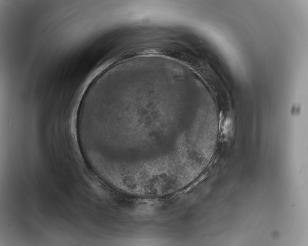 X0000102500099200808221803