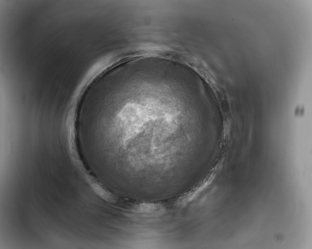 X0000102500101200808221803