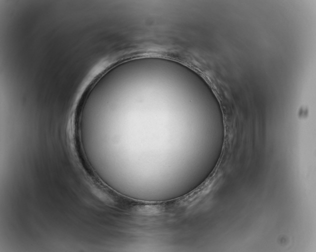 X0000102500102200808221803