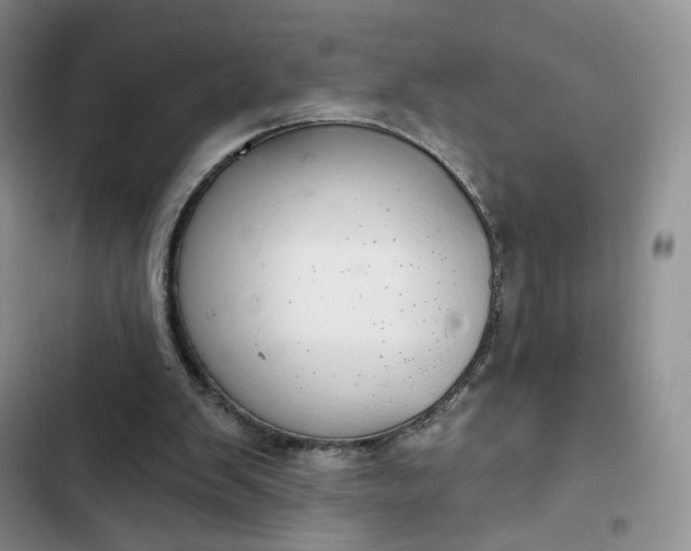 X0000102500103200808221803