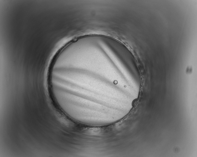 X0000102500104200808221803