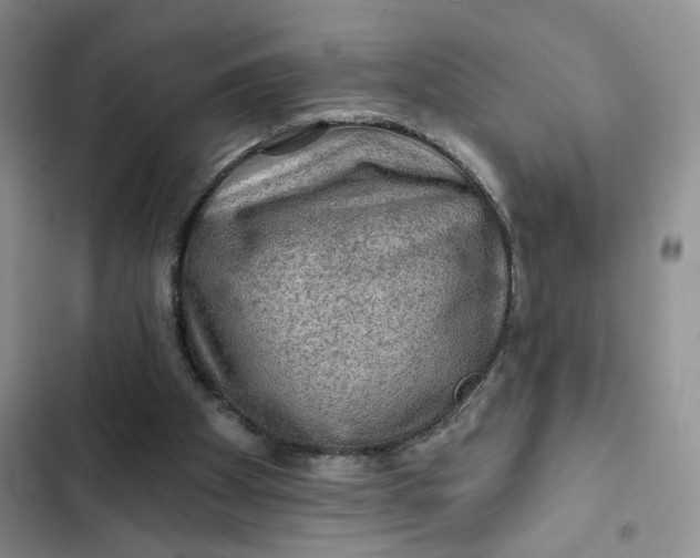 X0000102500105200808221803