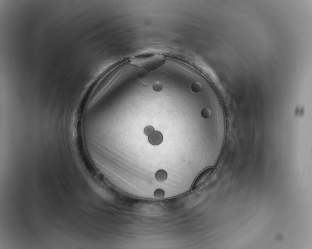 X0000102500106200808221803