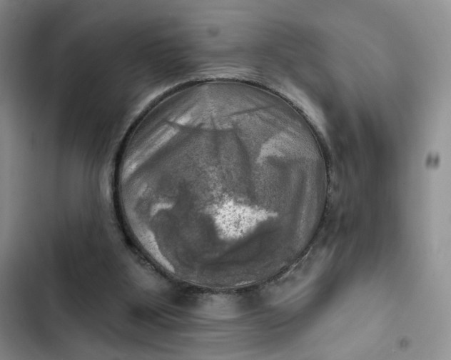 X0000102500107200808221803