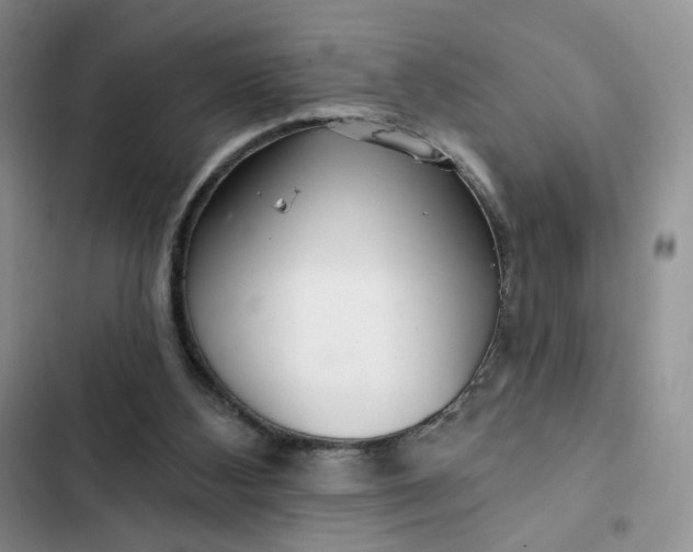 X0000102500108200808221803