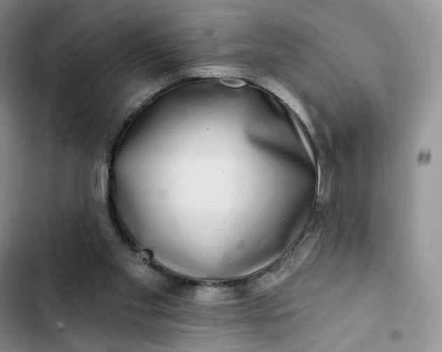 X0000102500109200808221803