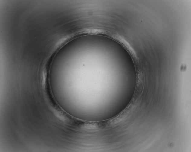 X0000102500110200808221803