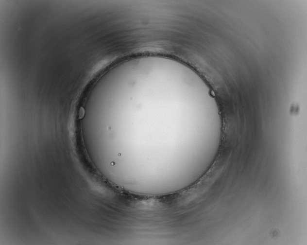 X0000102500112200808221803