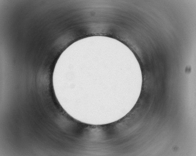 X0000102500113200808221803