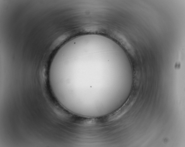 X0000102500116200808221803