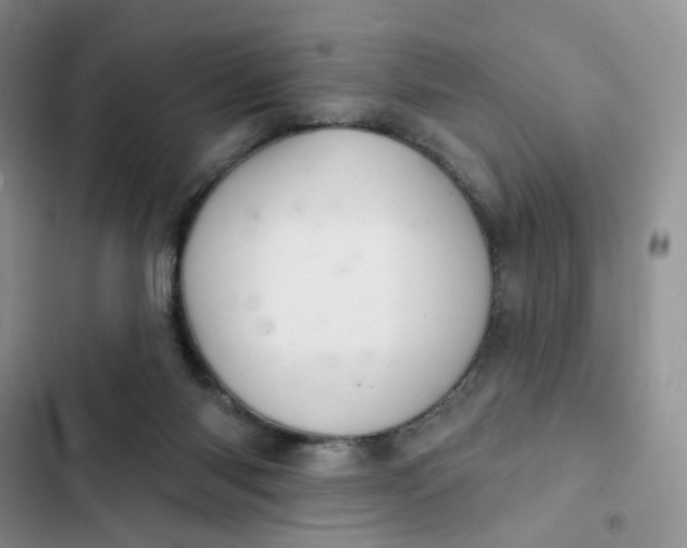 X0000102500118200808221803