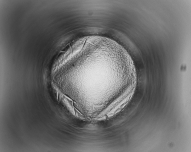 X0000102500119200808221803