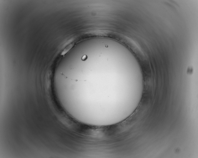 X0000102500120200808221803