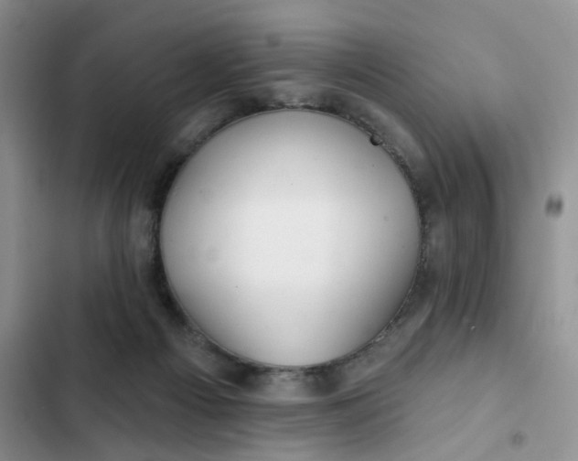 X0000102500121200808221803