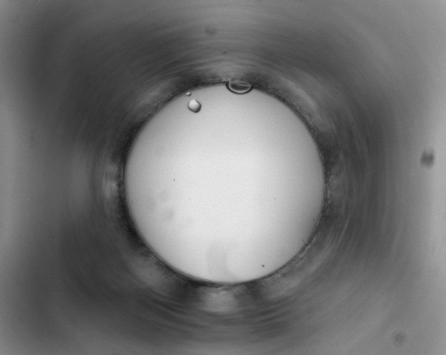 X0000102500122200808221803