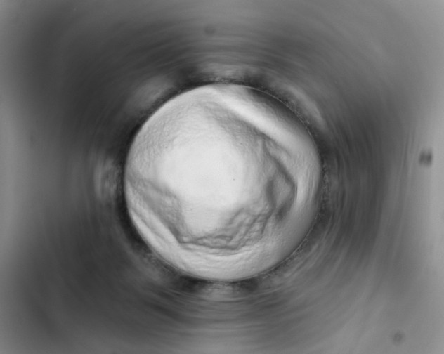 X0000102500123200808221803