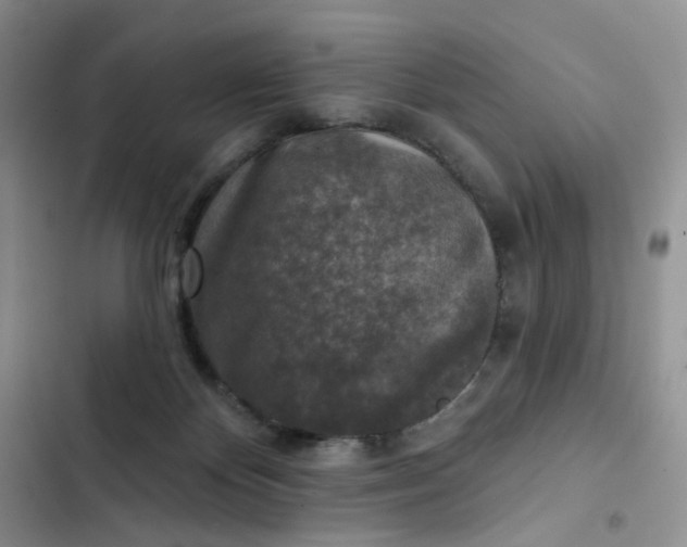 X0000102500124200808221803