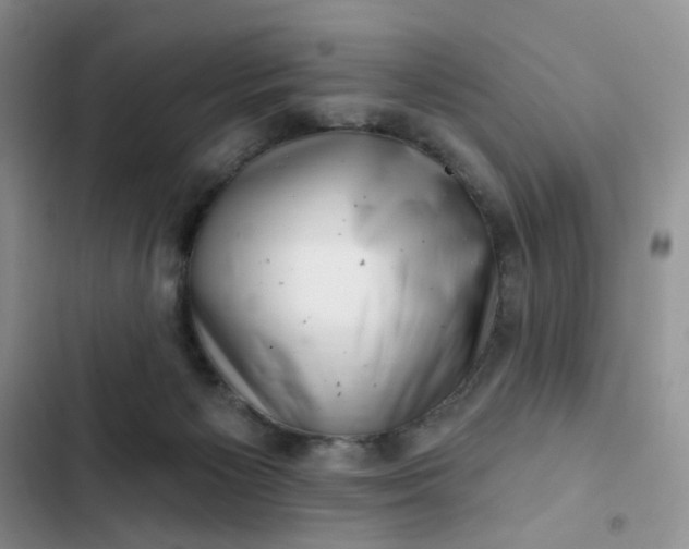 X0000102500125200808221803