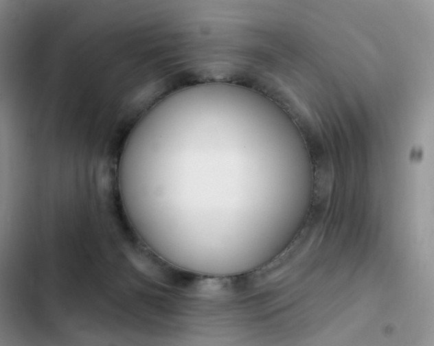 X0000102500126200808221803