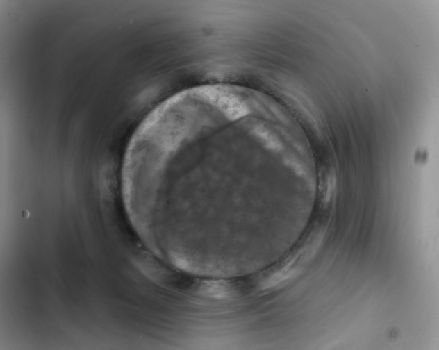 X0000102500127200808221803