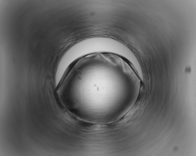 X0000102500128200808221803