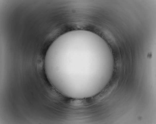 X0000102500129200808221803