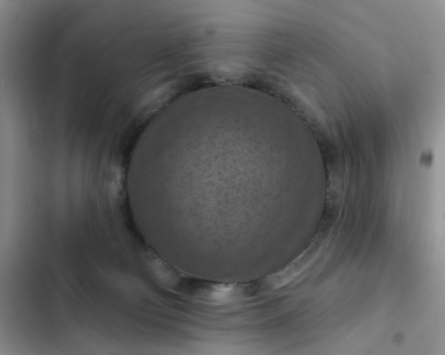 X0000102500130200808221803