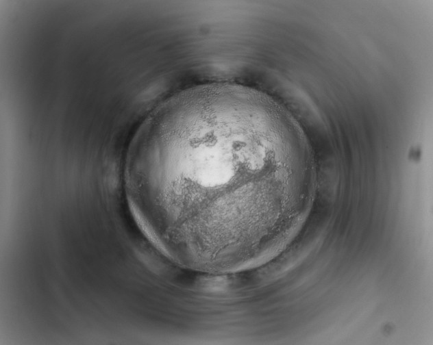 X0000102500131200808221803