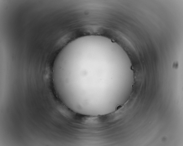 X0000102500132200808221803