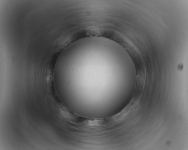 X0000102500134200808221803