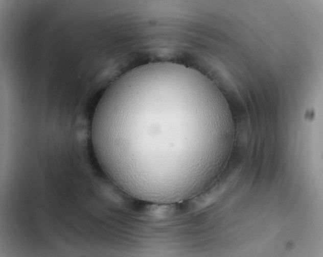 X0000102500135200808221803