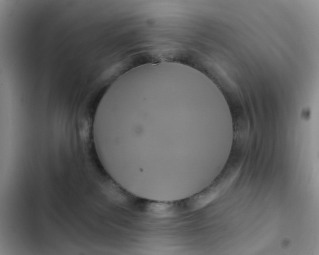 X0000102500139200808221803